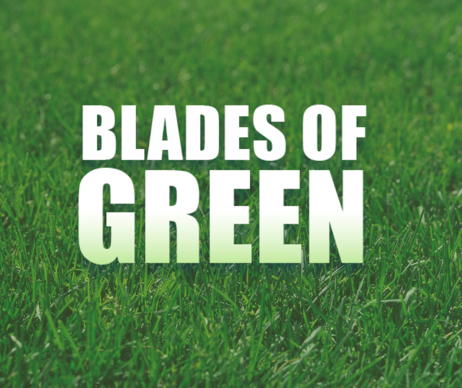 Blades of Green Reviews Harwood, MD Angie's List
